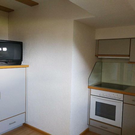 Haus Holzer Apartment Kals am Grossglockner Luaran gambar
